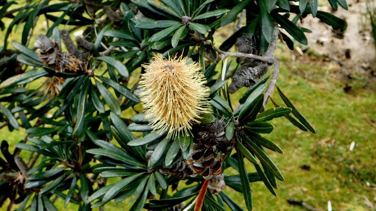 شقة 43 Degrees Bruny Island Adventure Bay المظهر الخارجي الصورة